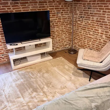 Bel Centre 公寓 蒙托邦