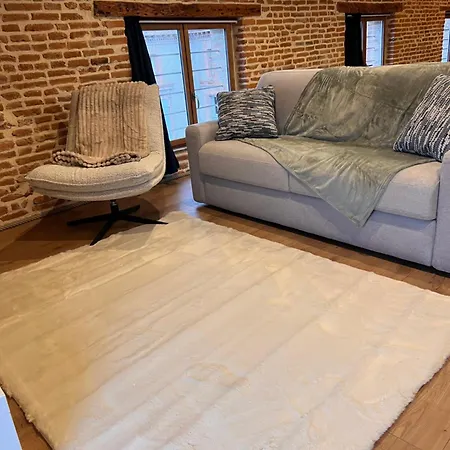 Bel Centre 蒙托邦