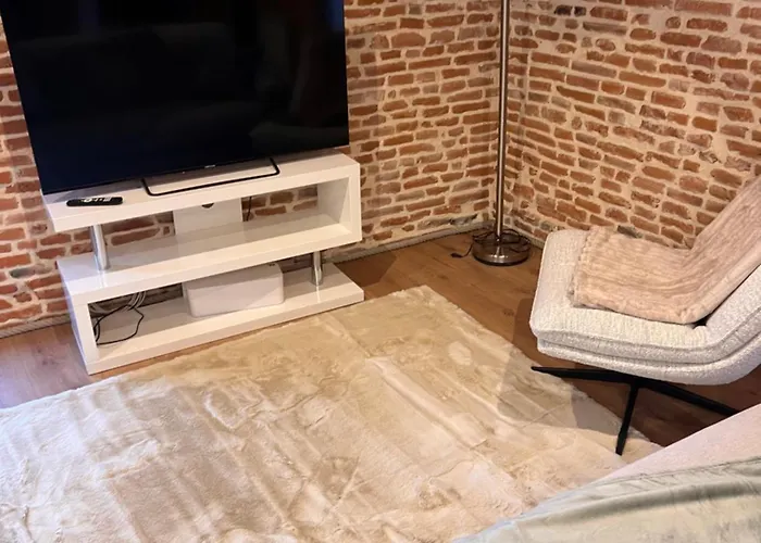 Bel Centre 公寓 蒙托邦