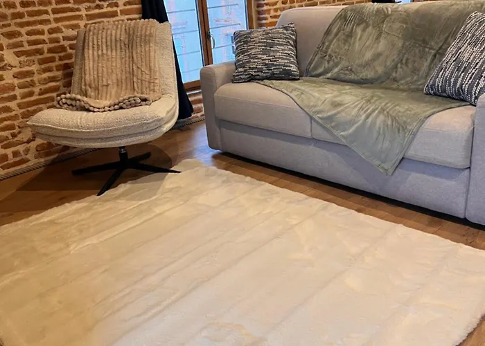 Bel Centre 蒙托邦