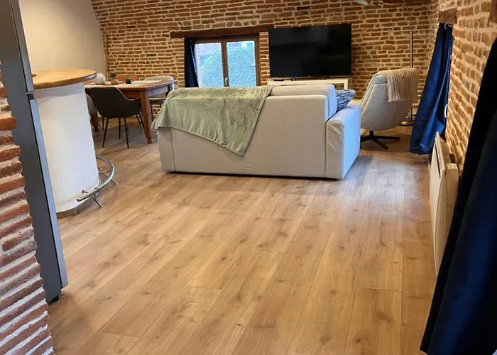 公寓 Bel Centre 蒙托邦